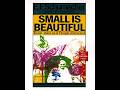 Small Is Beautiful: Economics as if People Mattered — When Growth Liquidates Capital