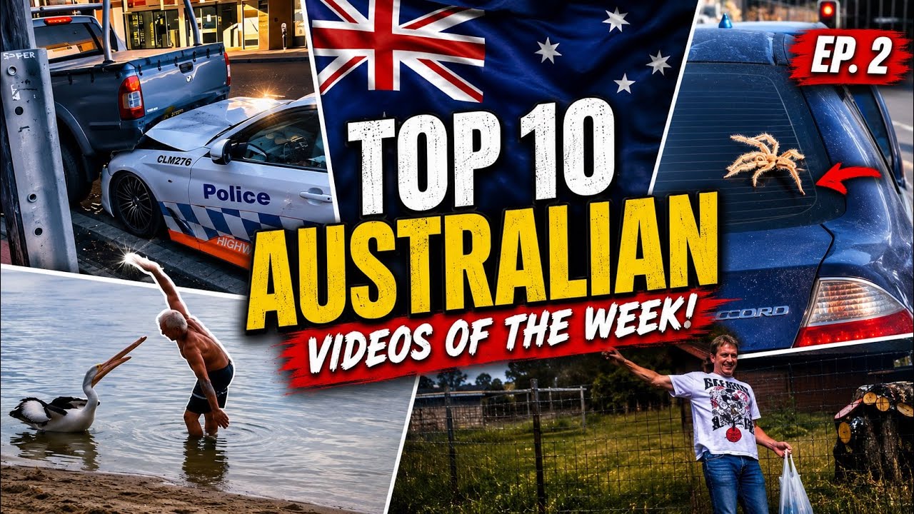 ⁣Top 10 FUNNIEST Australian Videos of the Week - JimsSkidService
