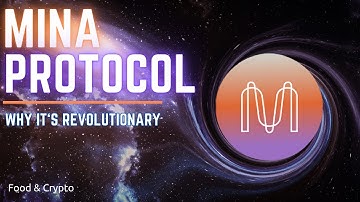 What is the Mina Protocol? Why it