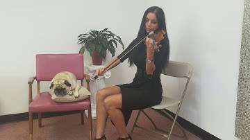 Lightly Row 4th finger vibrato Suzuki book 1 FOR STUDENTS