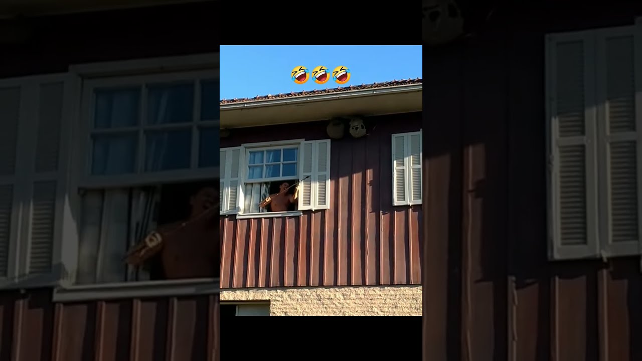 He Was Irritated By This Wasp Nest And Did