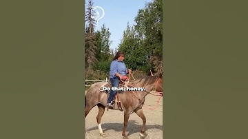 Helping Owner With Her Bucking Horse! Part 16 | The Horse Guru - Michael Gascon