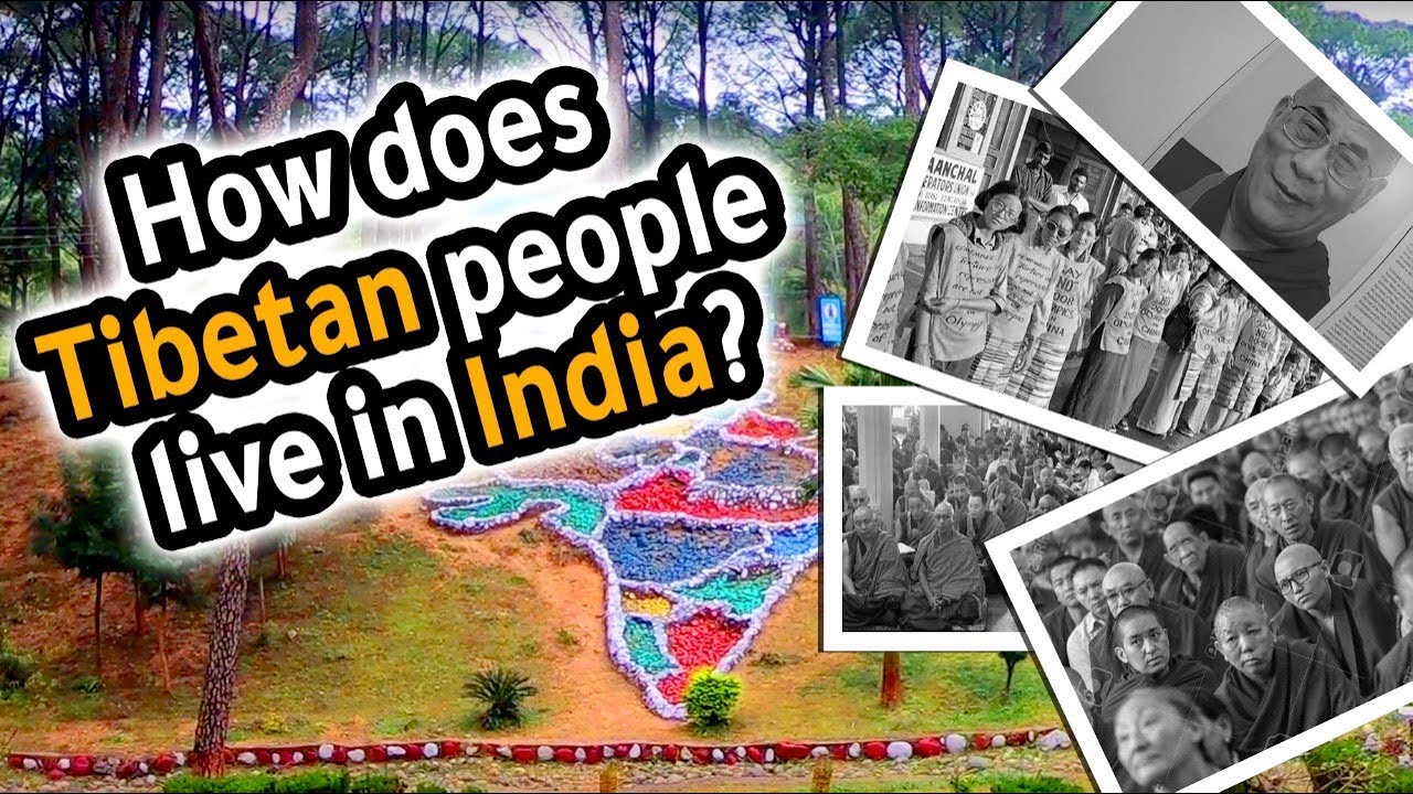 Life of Tibetan people in India/ Dharamshala