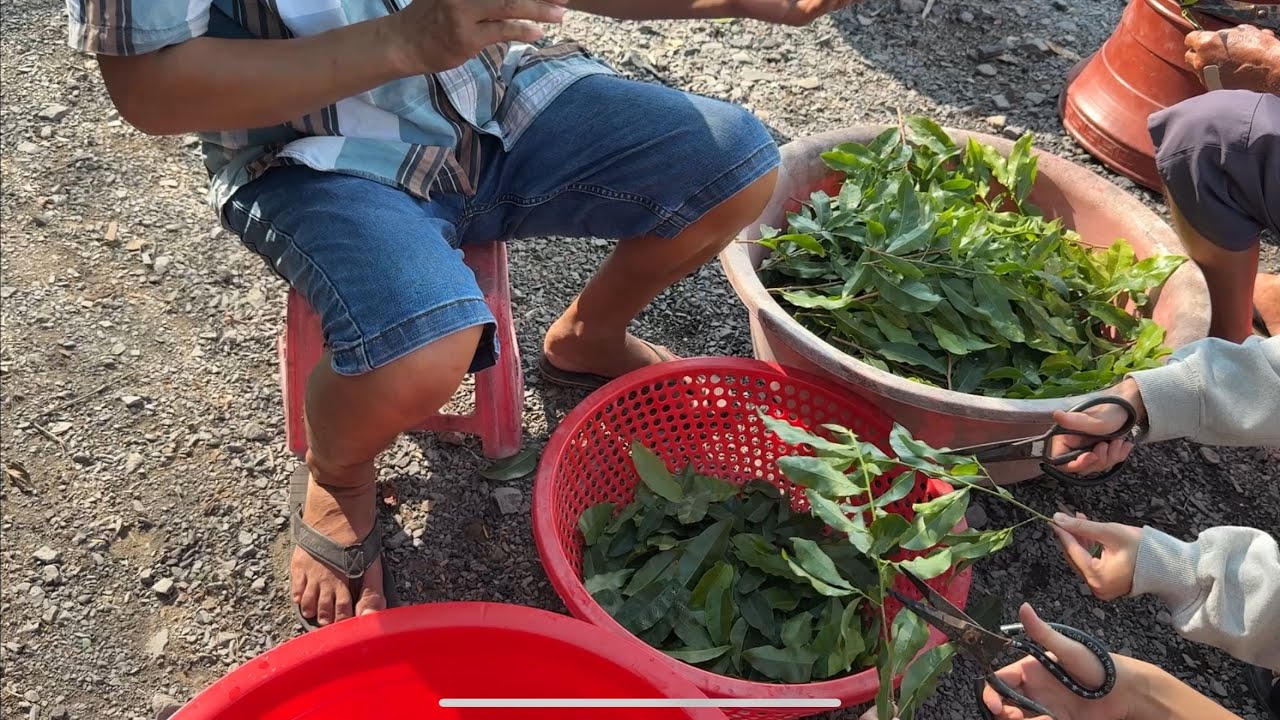 Gửi bo cho khách đã đặc trước ae nhớ chờ và nhận giúp mình nhé