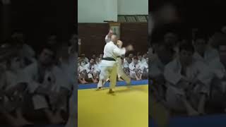 #martialarts #karate #fight #dojo #okinawakarate #sindoryu