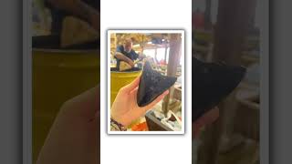 This is what a $2,500 fossil bucket looks like at Pigeon Forge Gem Mine
