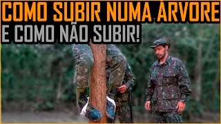 Como Subir numa Árvore  Técnica da Peconha (1oBIS de Manaus)