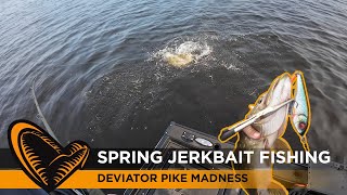 Spring Pike Fishing on the shallow with Jerkbaits #pike #deviatorswim