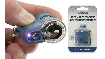 Carson MicroMini 20x LED Lighted Pocket Microscope | Amazing Technology | Mini Microscope