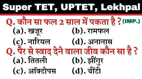 Super TET 2022 || UPTET 2022 Important Questions || Super TET || UP LEKHPAL || SSC || RRB || REET