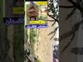 استشهادی شهید سید احمد شهید مل آغا