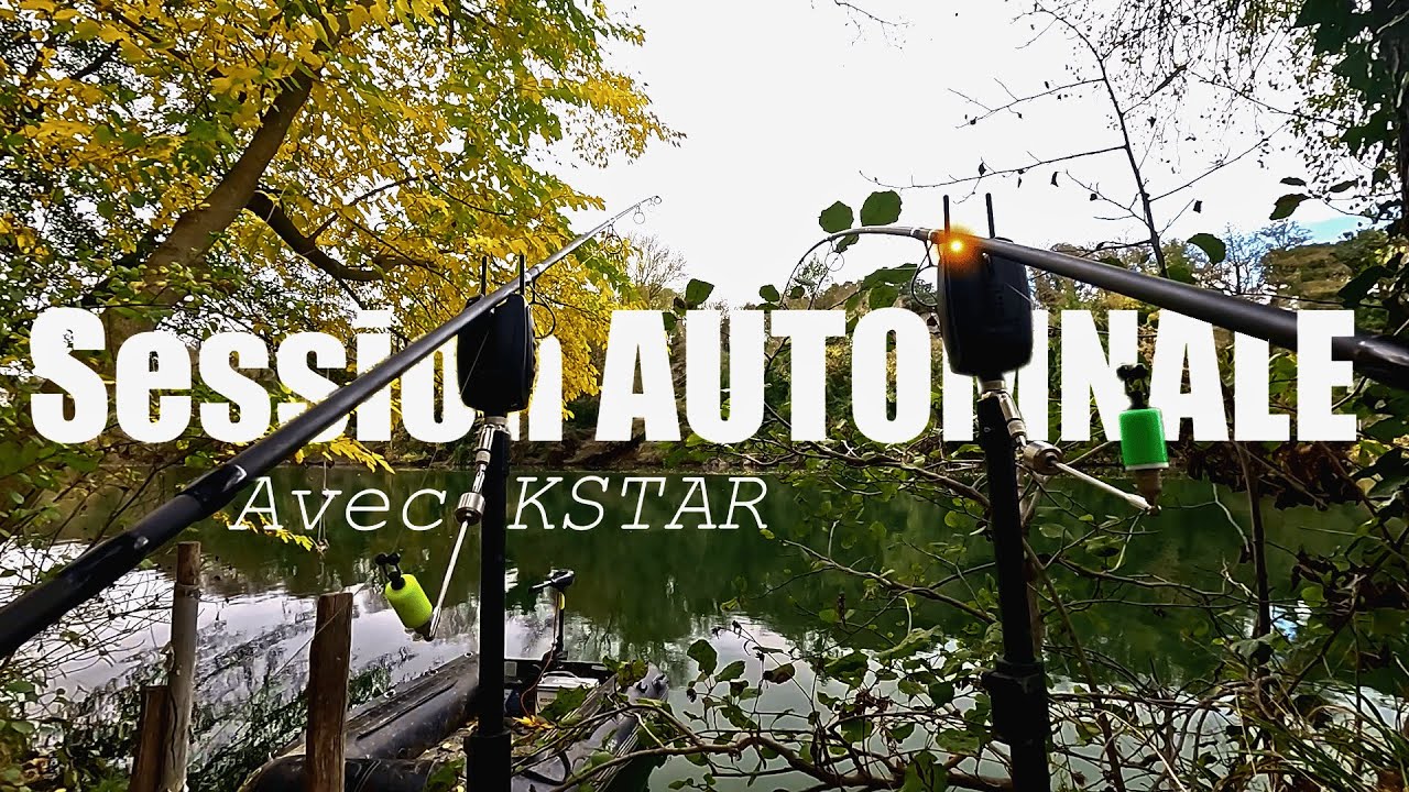 Session CARPE de DINGUE pour la DERNIERE de l'année avec KSTAR. Pêche de la carpe en rivière.