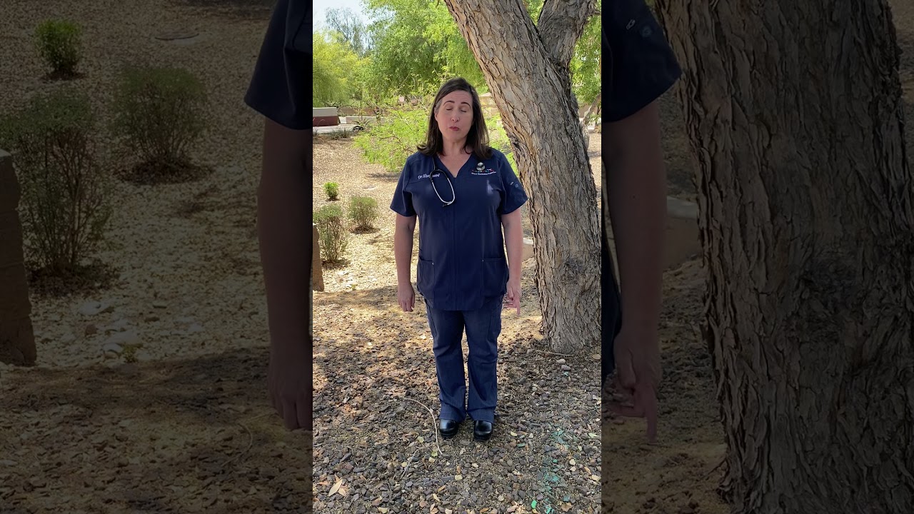 Dr. Kristin Shepherd on well checks and sports physicals for your kids