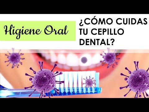 Video: 3 formas de mantener limpio un cepillo de dientes