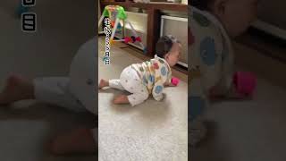 ハイハイ中のボール遊びが可愛すぎる😍 #赤ちゃん #ハイハイ #遊び