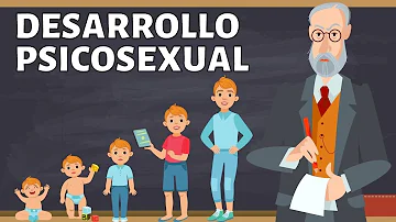 ¿Cuál es la importancia de la teoría psicosexual?