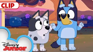 Bluey Season 3 Episode 19 'Pizza Girls' Episode Clip | @disneyjunior | @BlueyChannel​