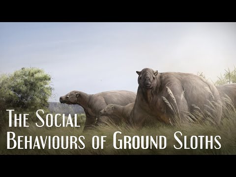 The Social Behaviours of Ground Sloths