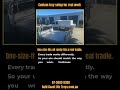 Custom Ute Setups For Real Tradies