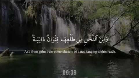 سوره الأنعام # وهو الذي انزل من السماء ماء# القارئ سلمان العتيبي#