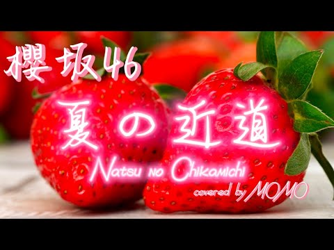 【イヤホン推奨】夏の近道 / 櫻坂46 (covered by MOMO)