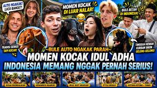  Indonesia Lagilagi Bikin Dunia Tertawa Momen Kocak Idul Adha Ini Sdanai Bule Ikut Terhibur