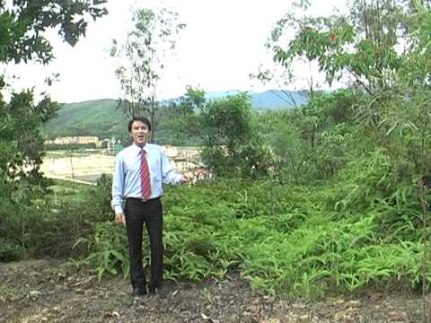nghieng nghieng vu quang - YouTube