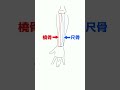 【みんなやりがち】腕の描き方でよくある間違い#shorts