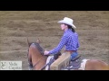 2017 calgary stampede working cow horse classic  open bridle winner