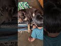 making friends for life 😊❤️ #friends #dog #boy #home #fun #goviral