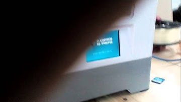 Flashforge Dreamer Static Death