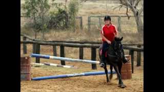 Star & Charlie || Cross Country/Jumping