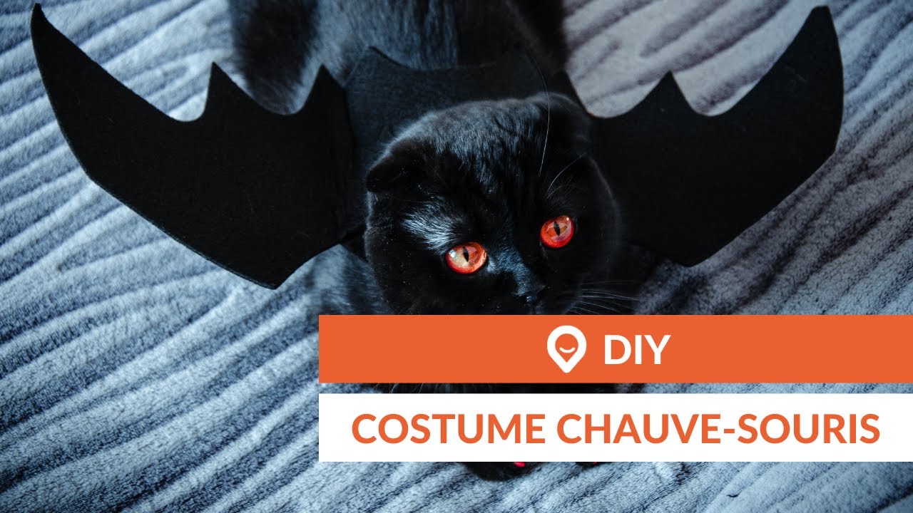 ▷ Fabriquer un Masque pour Halloween : la Chauve-Souris ! - Les