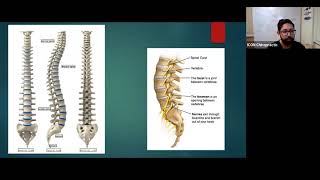 ICON Chiropractic - March 2021 New Patient Orientation Gonstead Exclusive