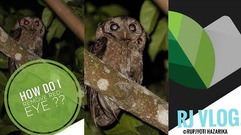 ||How do I remove red-eye in Snapseed ||Red Eye || Rj Vlog. ||