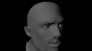 Facial Animation