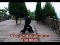 Wudang Bagua Zhang Skills