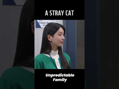 A STRAY <strong>CAT</strong> 🐈 #UnpredictableFamily #우당탕탕패밀리 #EP31 | <strong>KBS</strong> WORLD TV 231116