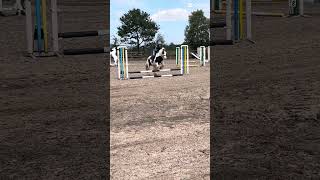 @Aut_and_Ivy @Liv_the_Eq @Star_equines @Alaska_Rides @Evaequestrian @riverview.stables @Issy-j2g