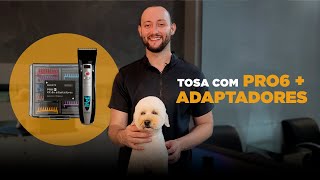 Tosa Completa Com Pro6 E Adaptadores  Por Junior Borja