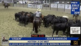 ADAN BANUELOS STEEM CO-CHAMPION WAY OUT WEST CUTTING SERIES IDAHO FUTURITY 2024