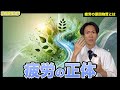 【サプリの話】疲労の正体とはなにか？注目の抗疲労成分、イミダゾールジペプチドとは？（前編）【薬剤師が解説】