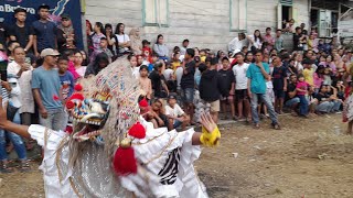 Download Lagu RAMPAK BARONGAN KUDA KEPANG  PGTWB yt sri candy MP3