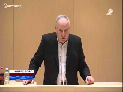 პაატა კვიჟინაძის გამოსვლა პლენარულ სხდომაზე (13/04/2016)