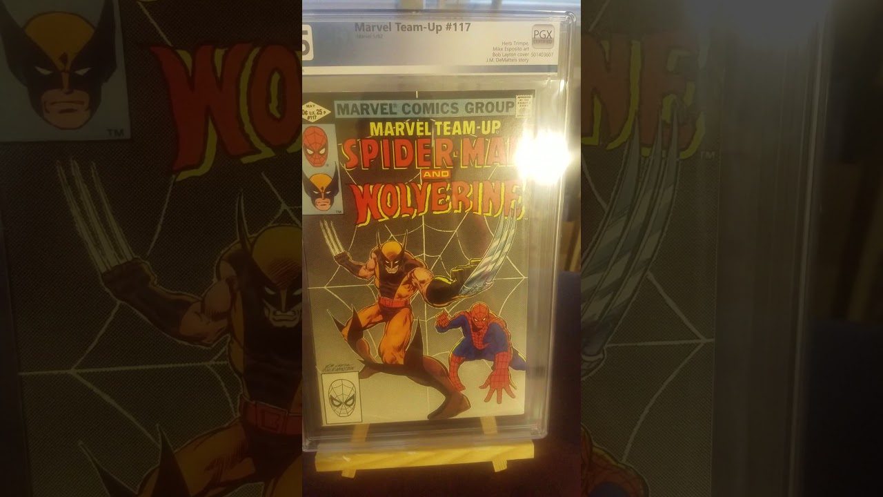 #28 part 2 CGC vs PGX (1st.and.keys) comparing graders