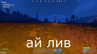 ай лив сервер броу ай лив сервер screenshot 3