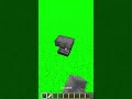 Le ragazze di cico su Minecraft…