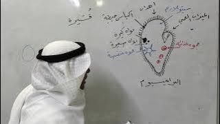 مدخل إلى الطلائعيات الجزء الأول