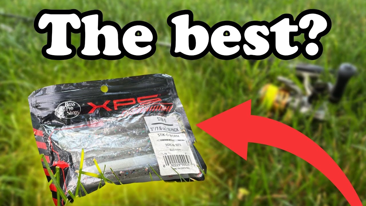 The Best Wacky Worm for Bass Fishing?