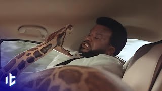 Scary Big Snake Moments Caught On Camera